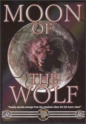 couverture film Le Loup de la nuit