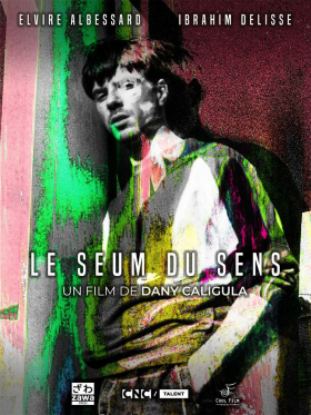 couverture film Le Seum du Sens