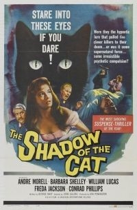 couverture film Le spectre du chat