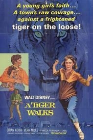 couverture film Les pas du tigres