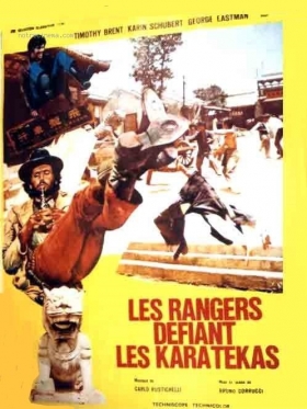 couverture film Les rangers défient les karatékas