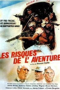 couverture film Les risques de l'aventure