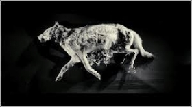 couverture film Living still life