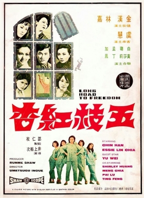 couverture film Long Road to Freedom