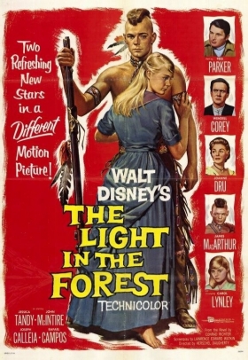 couverture film Lueur Dans la Forêt