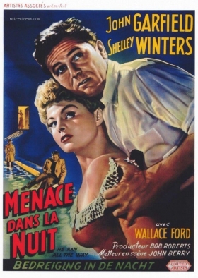 couverture film Menace dans la nuit