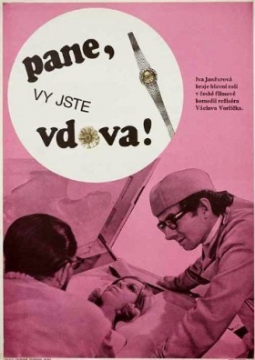 couverture film Monsieur, vous êtes veuve