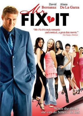 couverture film Mr. fix it