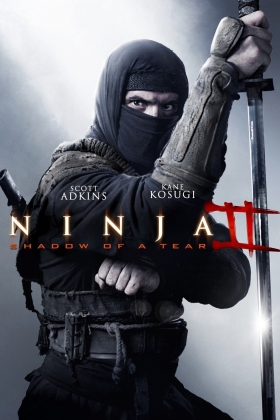 couverture film Ninja II Shadow of a Tear