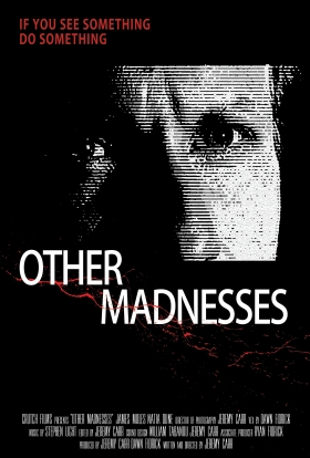 couverture film Other Madnesses