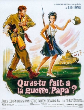 couverture film Qu'as-tu fait à la guerre, Papa ?