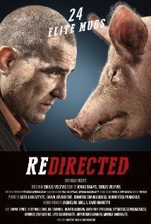 couverture film Redirected