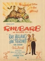 couverture film Rhubarb, le chat millionnaire
