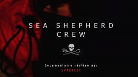 couverture film SEA SHEPHERD CREW