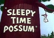 couverture film Sleepy Time Possum