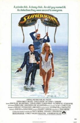 couverture film Sunburn