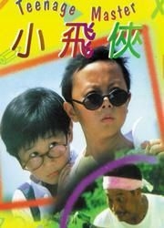 couverture film Teenage Master