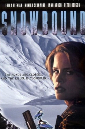 couverture film Tempête de neige
