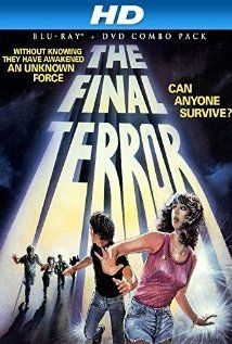 couverture film The Final Terror