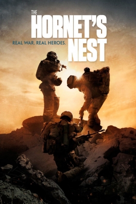 couverture film The Hornet's Nest