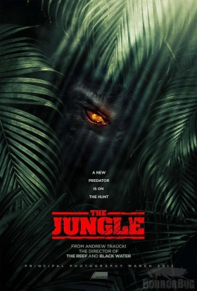 couverture film The Jungle
