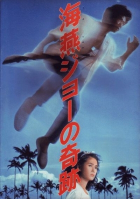 couverture film The Miracle of Joe Petrel
