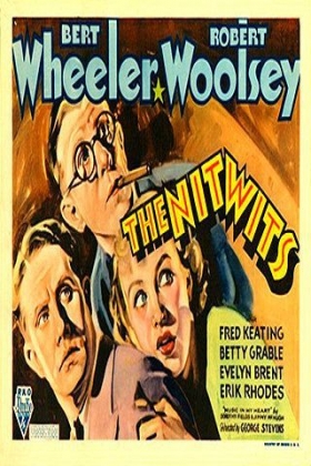 couverture film The Nitwits