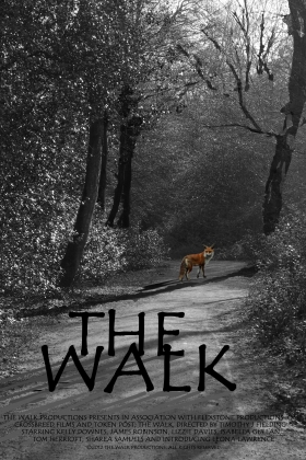 couverture film The Walk