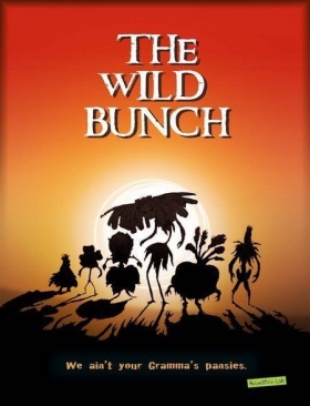 couverture film The Wild Bunch