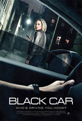 couverture film The Wrong Car