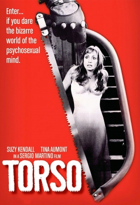couverture film Torso