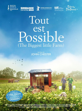 couverture film Tout est possible