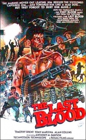 couverture film Ultime Combat