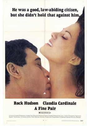 couverture film Un couple pas ordinaire