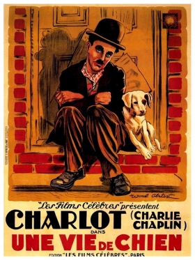 couverture film Une vie de chien