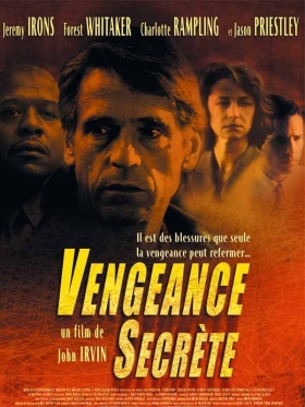 couverture film Vengeance secrète