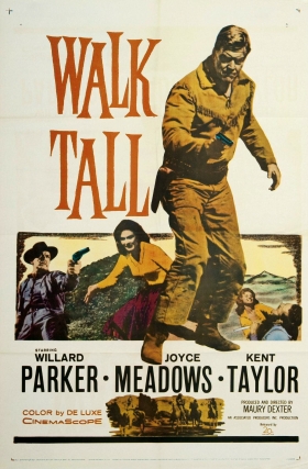 couverture film Walk Tall