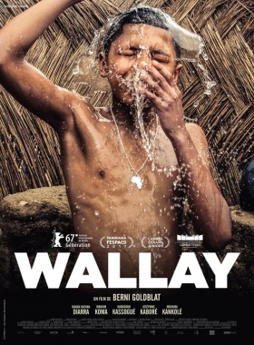 couverture film Wallay