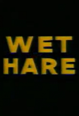 couverture film Wet Hare
