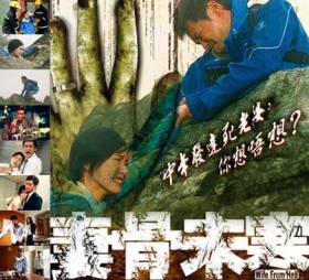 couverture film Wife from Hell