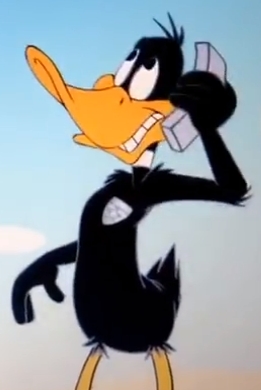 couverture film Wile E. Coyote Ugly