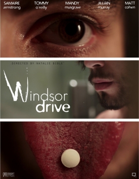 couverture film Windsor Drive
