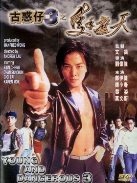 couverture film Young and Dangerous 3