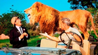 extrait film Clarence, le lion qui louchait