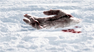 extrait film Détour mortel 4 : Origines sanglantes