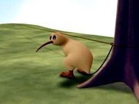 extrait film Kiwi!