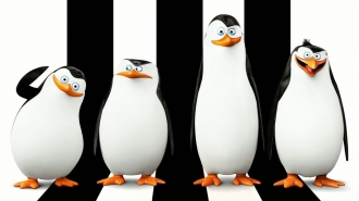 extrait film Les Pingouins de Madagascar