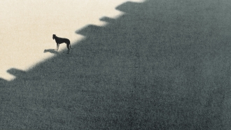 extrait film Peripheria