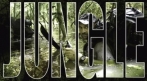 couverture bande dessinée Jungle