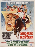 couverture bande dessinée Mic-mac au Montana